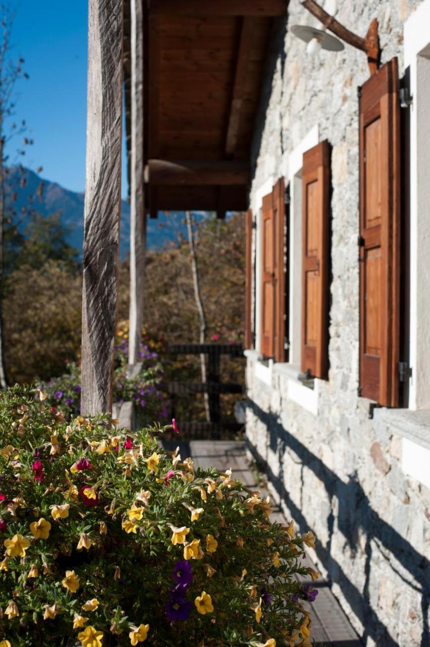 Agriturismo La Pedruscia Civo Exterior photo